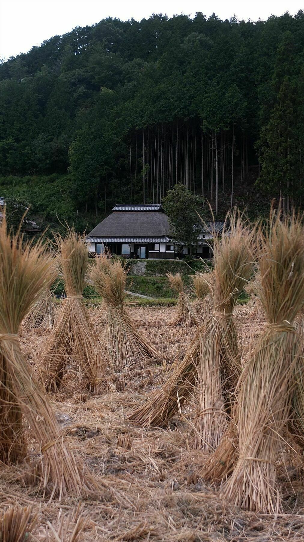 Sasayuri-Ann Vila Nara Exterior foto